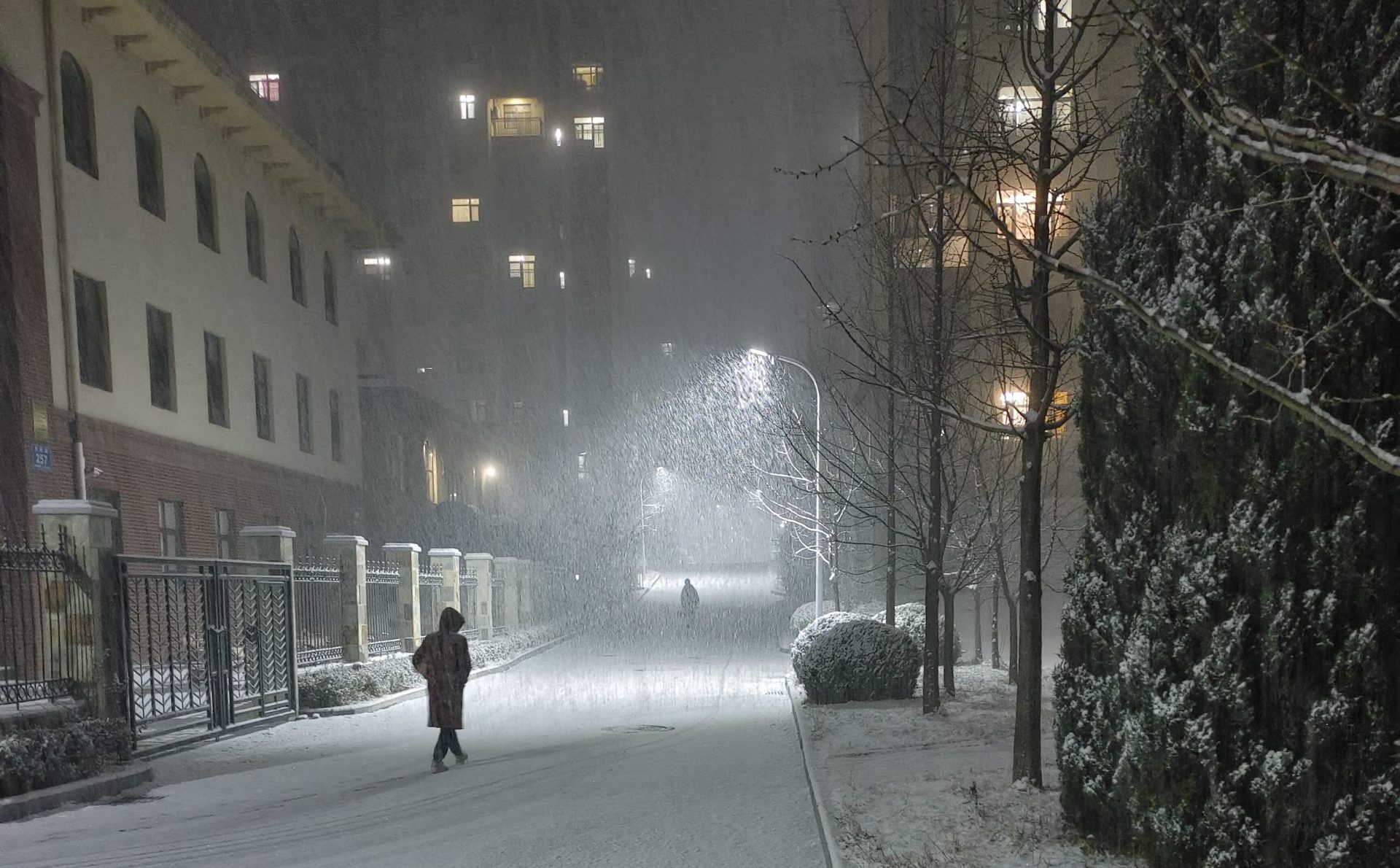 2026新春大吉！点开有喜，祝你“马”上好运！